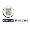 Client61.Gold Fields